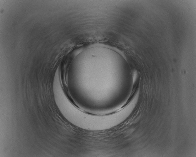 X0000070881202200606231334