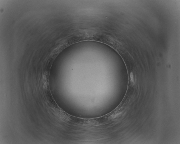 X0000070881203200606231334