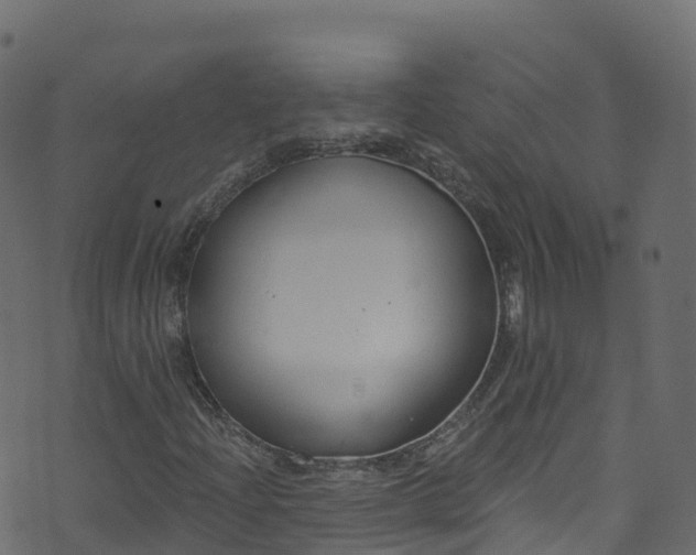 X0000070881204200606231334