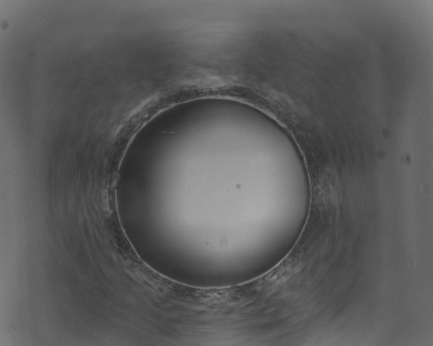 X0000070881205200606231334