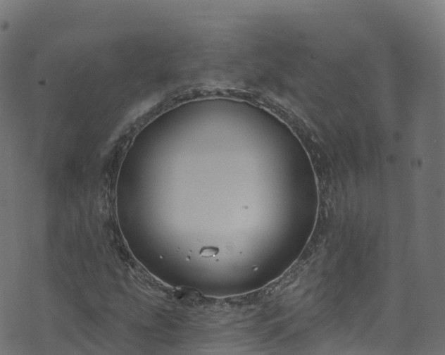 X0000070881207200606231334