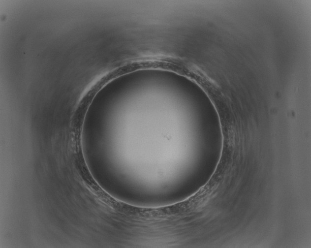 X0000070881208200606231334