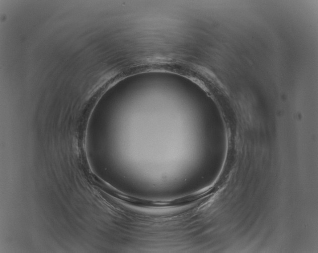 X0000070881209200606231334