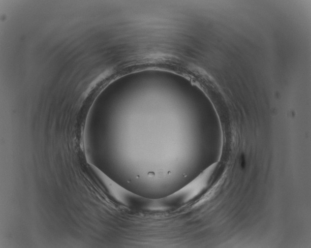 X0000070881210200606231334