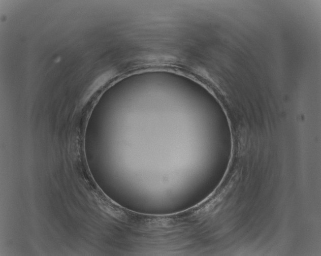 X0000070881211200606231334