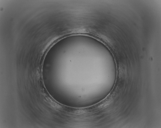 X0000070881212200606231334