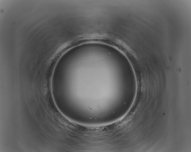 X0000070881213200606231334