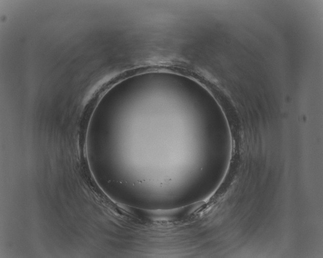 X0000070881214200606231334