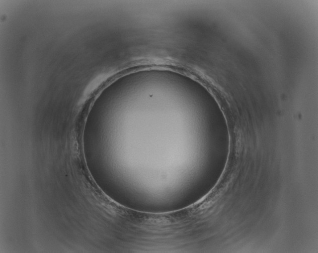 X0000070881215200606231334