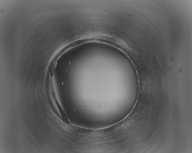 X0000070881216200606231334