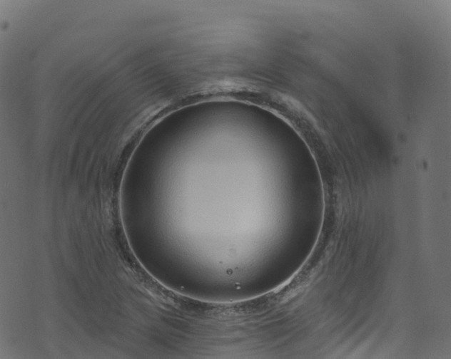 X0000070881217200606231334