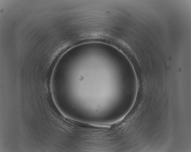 X0000070881218200606231334