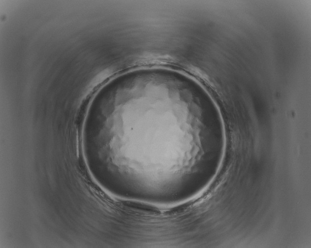 X0000070881219200606231334