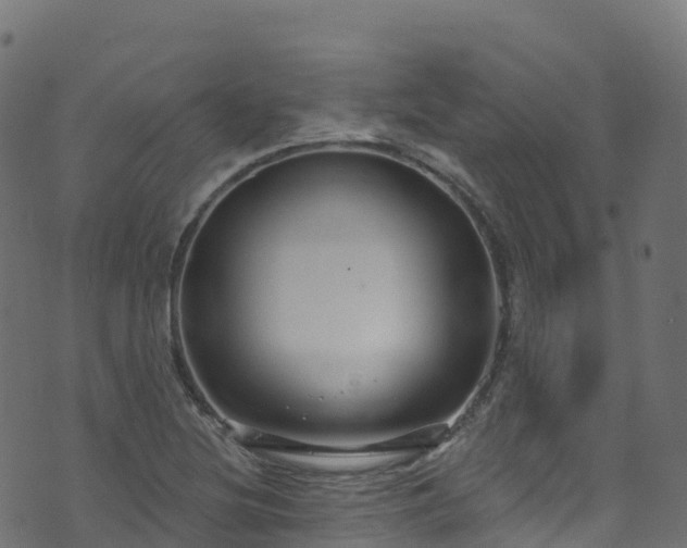 X0000070881220200606231334