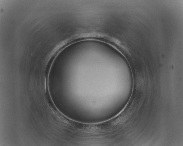 X0000070881221200606231334