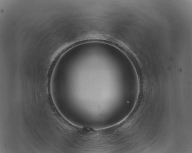 X0000070881222200606231334