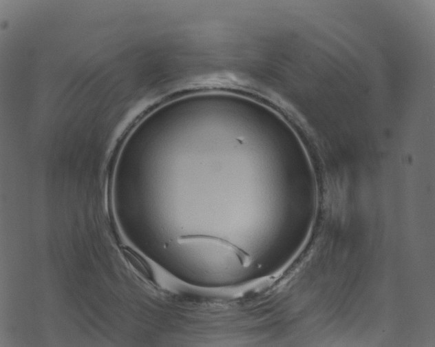 X0000070881224200606231334