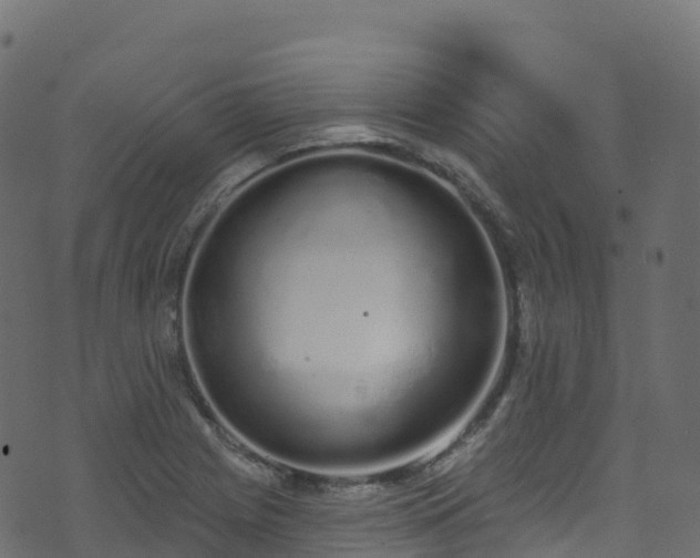 X0000070881225200606231334