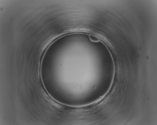 X0000070881228200606231334