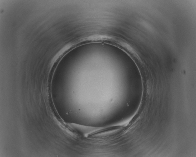 X0000070881229200606231334