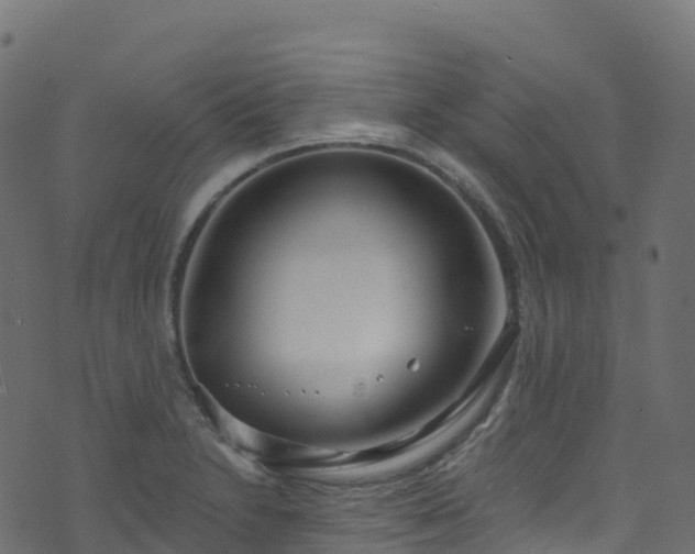 X0000070881230200606231334