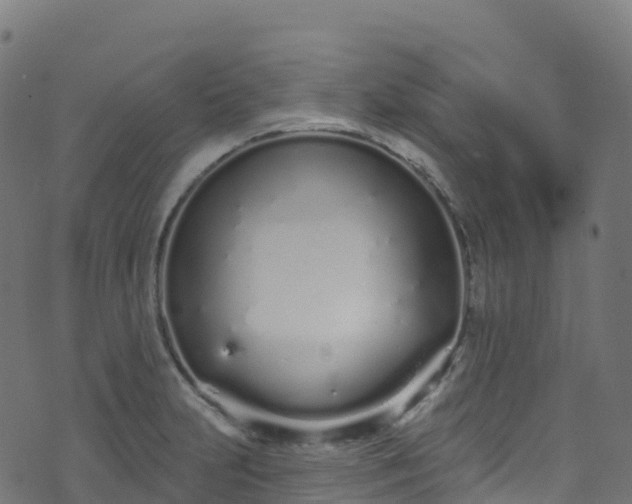 X0000070881231200606231335