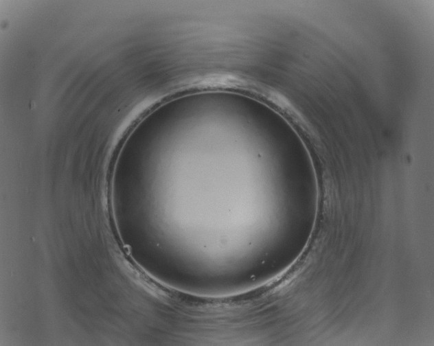 X0000070881232200606231335