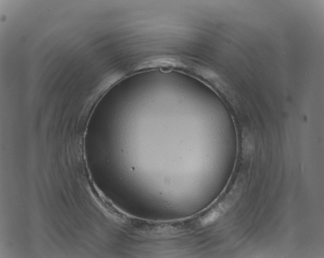 X0000070881233200606231335