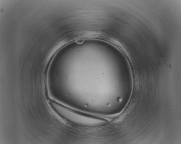 X0000070881235200606231335