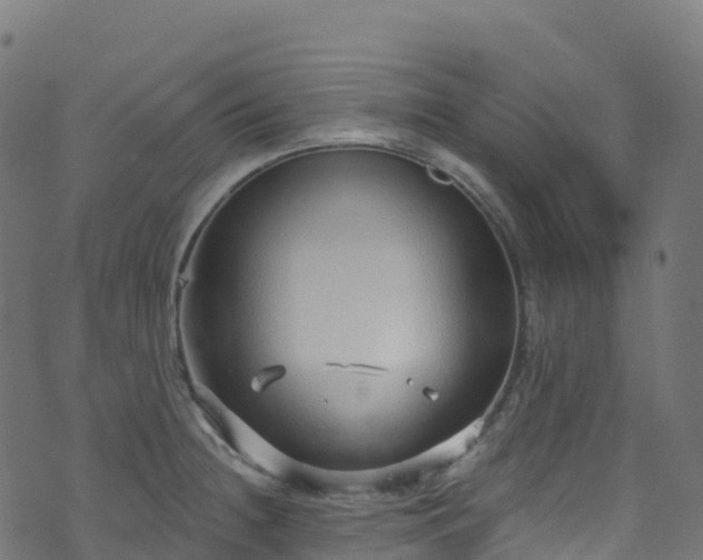 X0000070881236200606231335