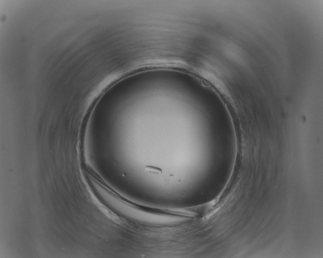 X0000070881237200606231335