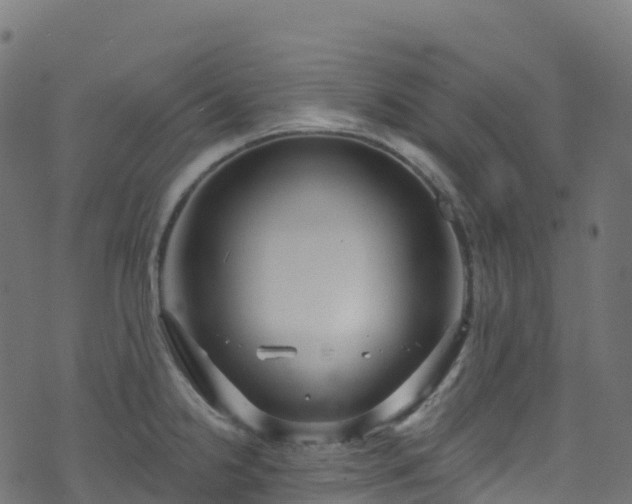 X0000070881238200606231335