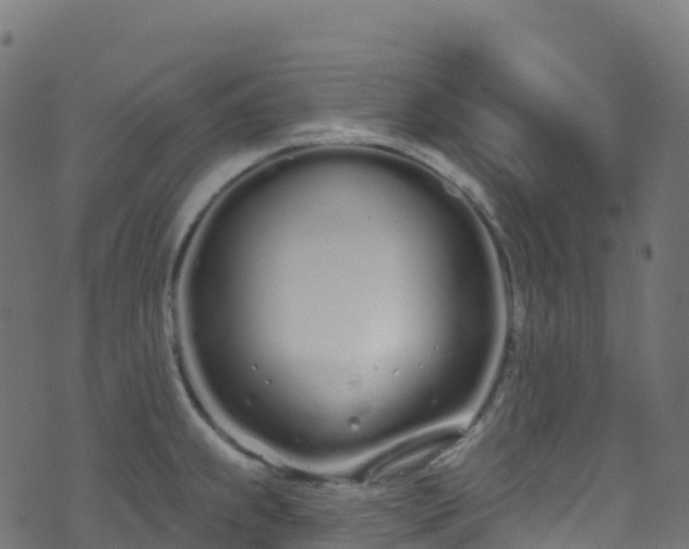 X0000070881239200606231335