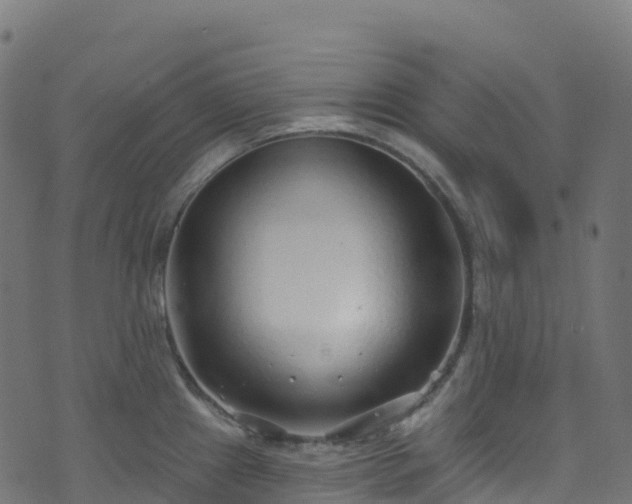 X0000070881241200606231335