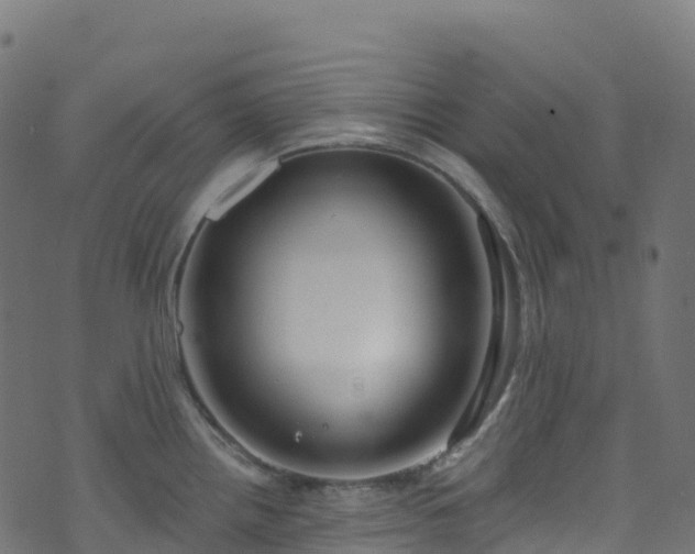 X0000070881242200606231335