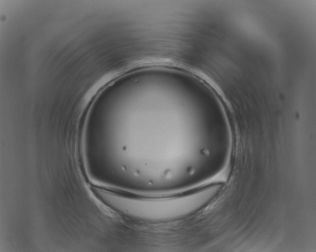 X0000070881245200606231335