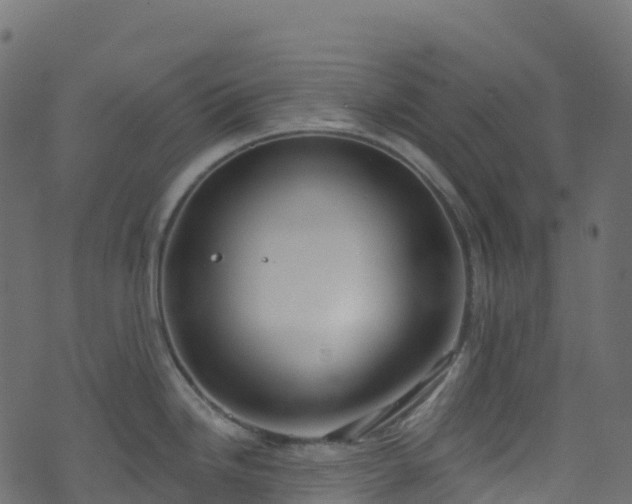 X0000070881246200606231335