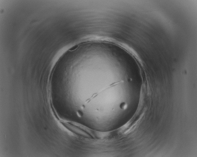 X0000070881247200606231335