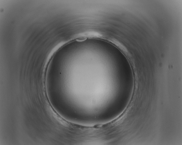 X0000070881248200606231335