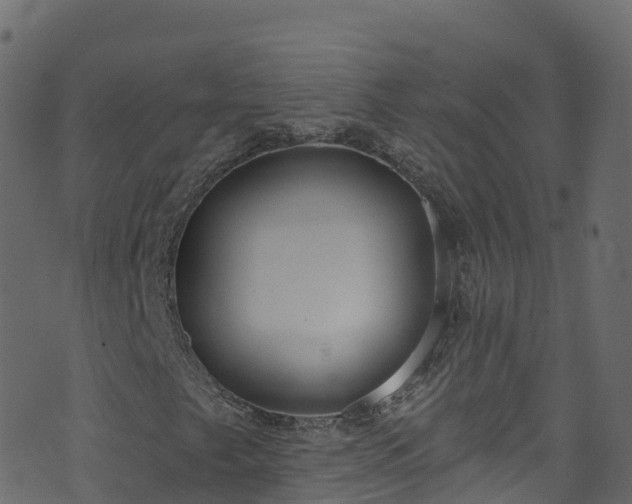 X0000070881249200606231334