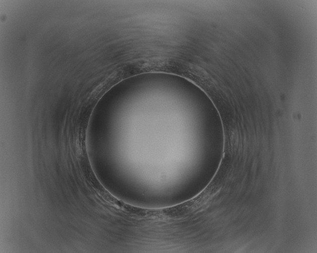 X0000070881250200606231334