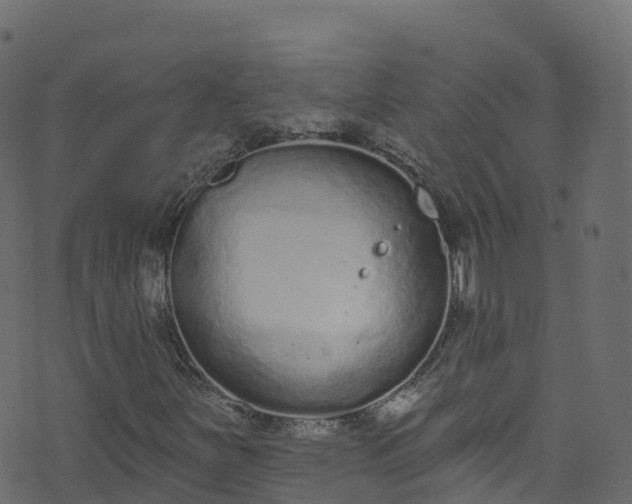 X0000070881251200606231334