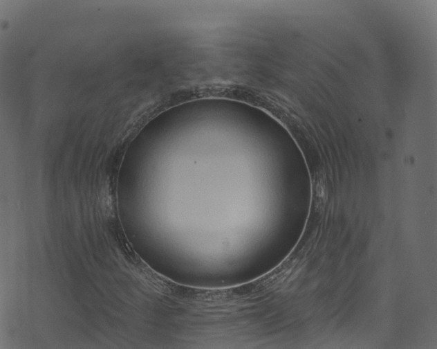 X0000070881252200606231334