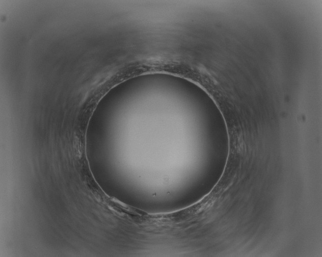 X0000070881253200606231334