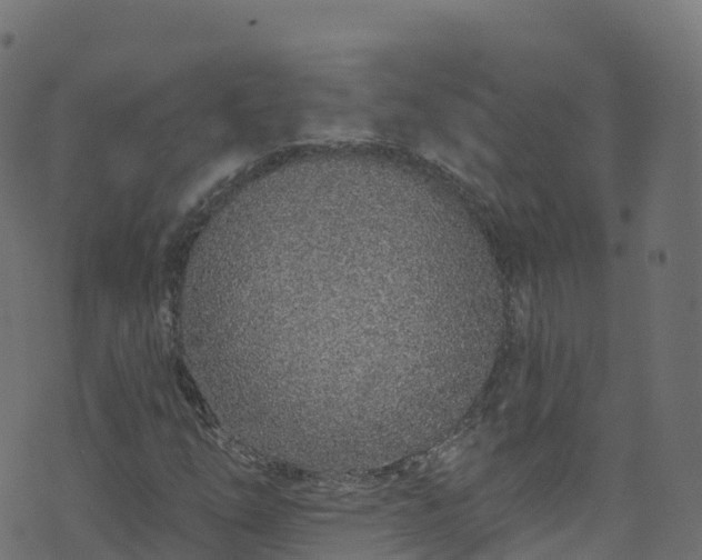 X0000070881254200606231334