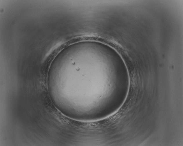 X0000070881255200606231334