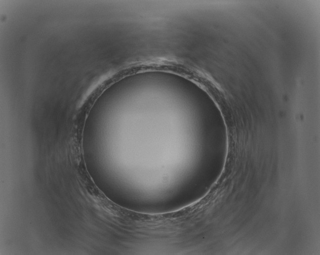 X0000070881256200606231334