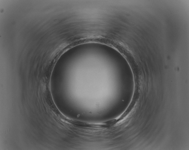 X0000070881257200606231334