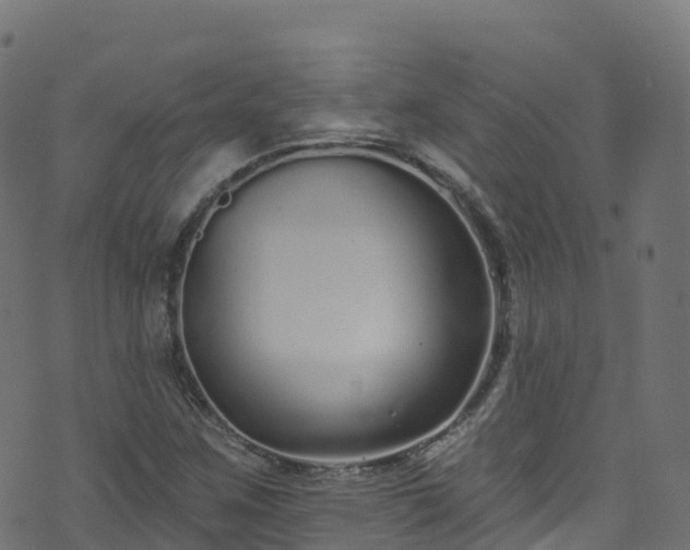 X0000070881259200606231334