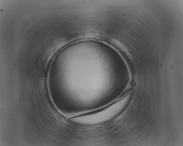 X0000070881260200606231334